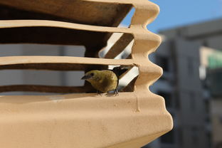 格力空调维修点